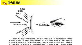 時尚與運動的完美結合 特別推薦GD100太陽眼鏡套裝