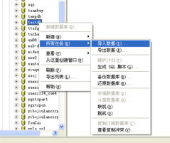 廣州互聯網數據中心服務全解析 從域名注冊到網站運維的一站式解決方案